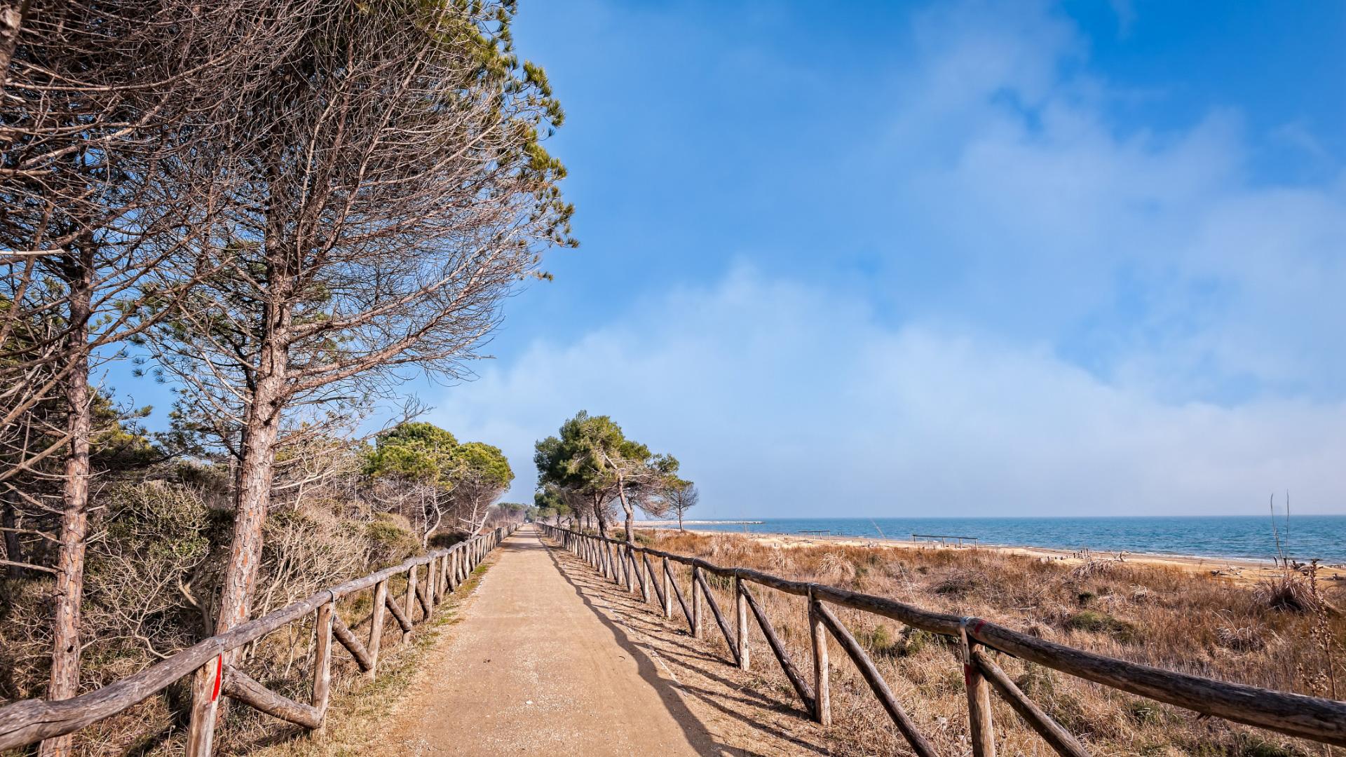 Sentiero costiero con alberi e mare, cielo azzurro.